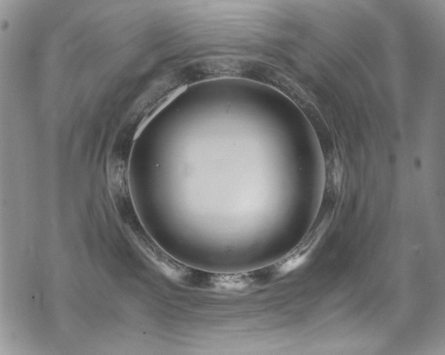 X0000076270141200609281215