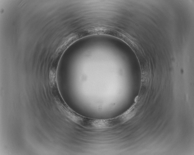 X0000076270142200609281215