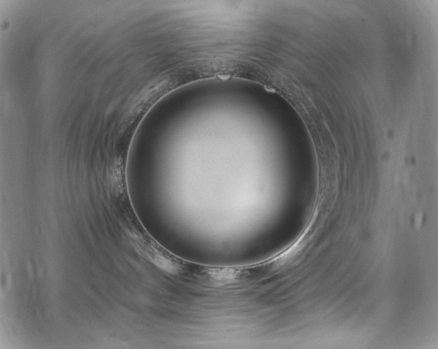 X0000076270144200609281215