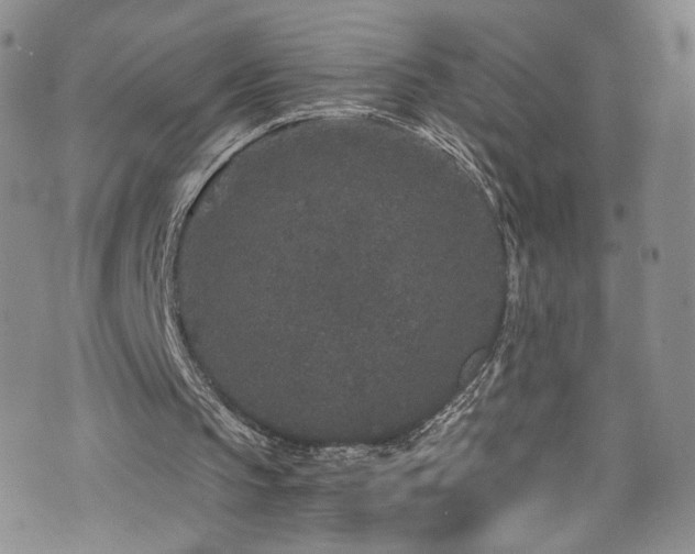 X0000076270145200609281214