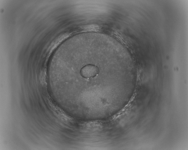 X0000076270146200609281214