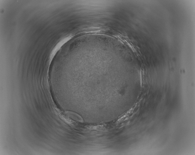 X0000076270147200609281214