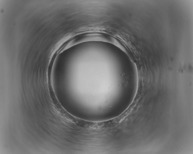 X0000076270148200609281214