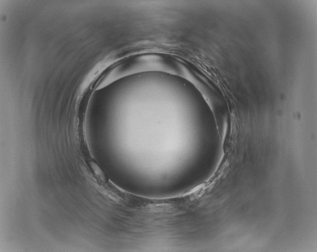 X0000076270150200609281214