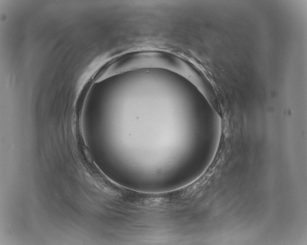 X0000076270152200609281214