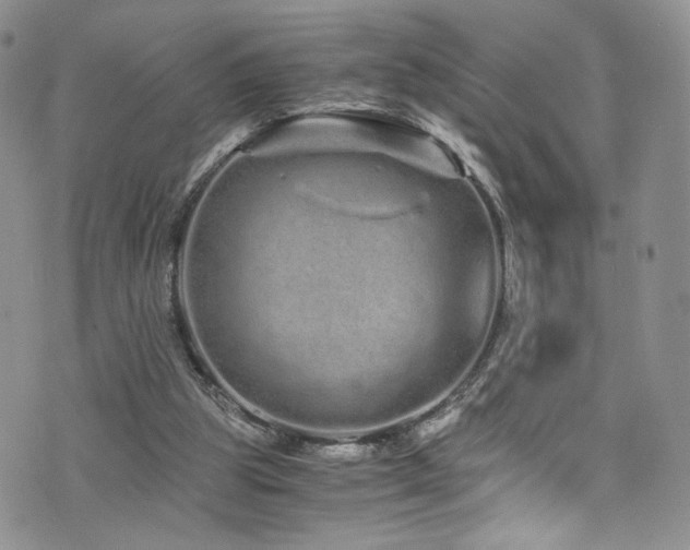 X0000076270153200609281214