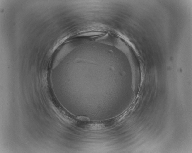 X0000076270154200609281214