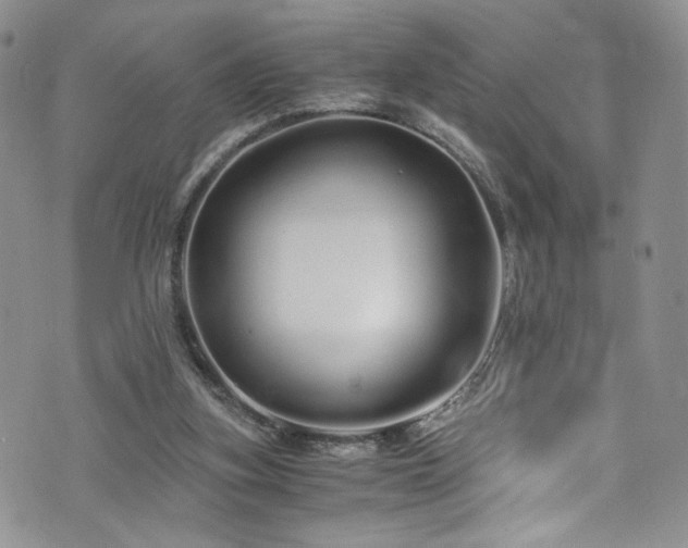 X0000076270155200609281214