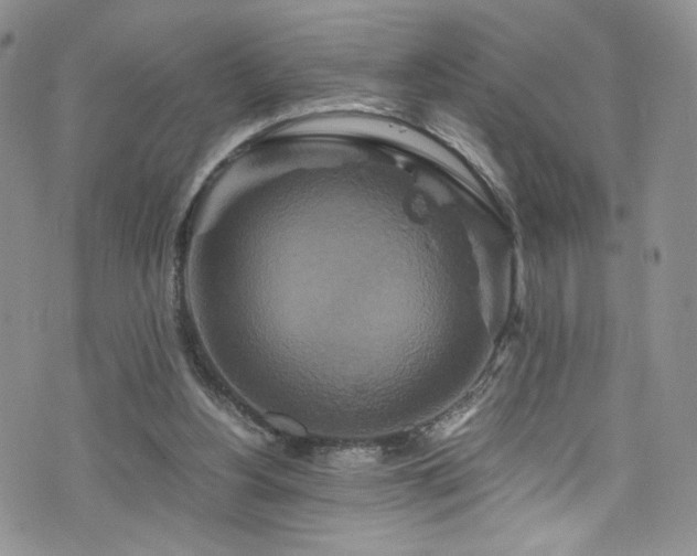 X0000076270156200609281214