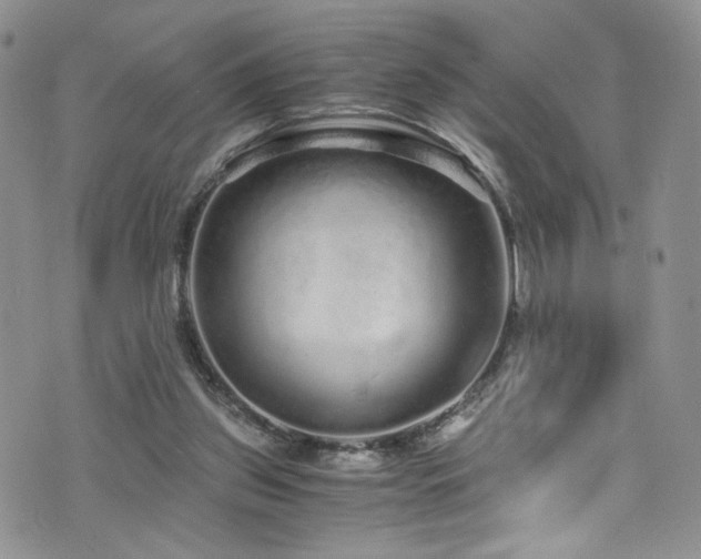 X0000076270157200609281214