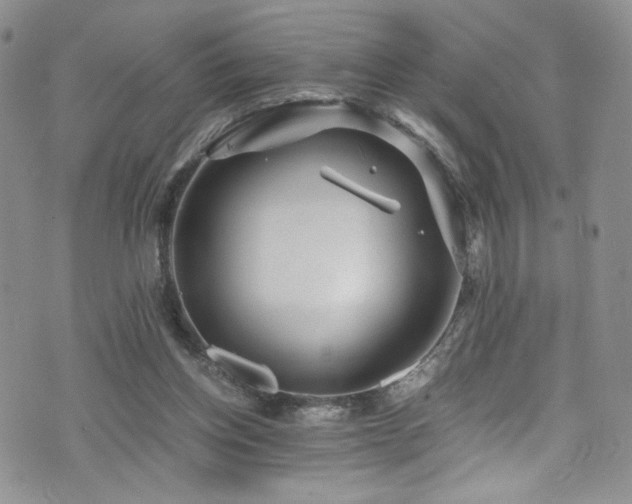 X0000076270158200609281214