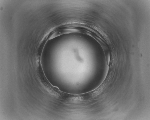 X0000076270160200609281214