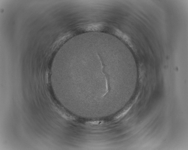 X0000076270161200609281214