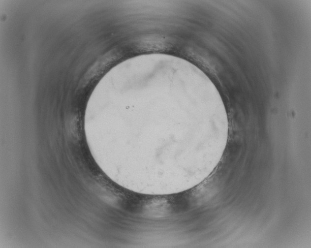 X0000076270162200609281214