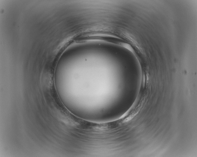 X0000076270164200609281214