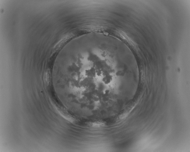 X0000076270165200609281214