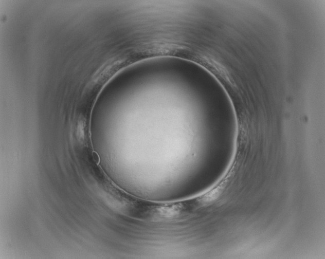 X0000076270166200609281214