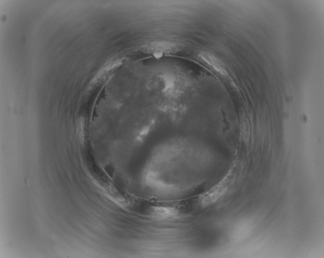 X0000076270167200609281214