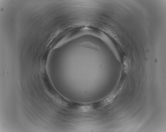 X0000076270168200609281214