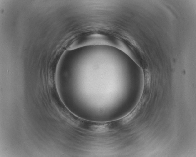 X0000076270170200609281214