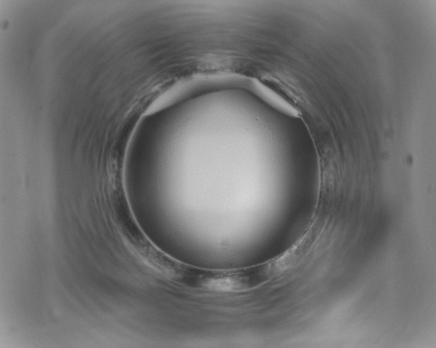 X0000076270171200609281214