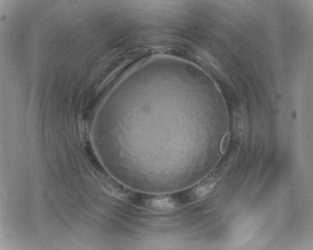 X0000076270173200609281214