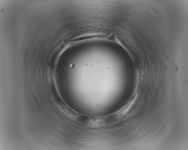 X0000076270174200609281214