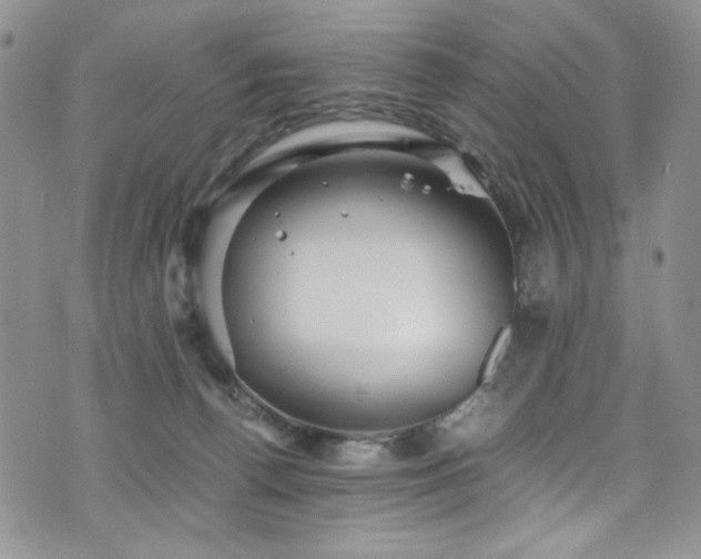 X0000076270176200609281214