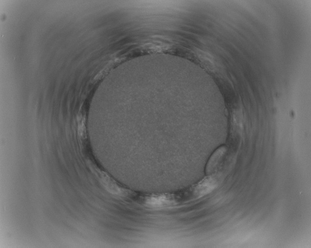 X0000076270177200609281215