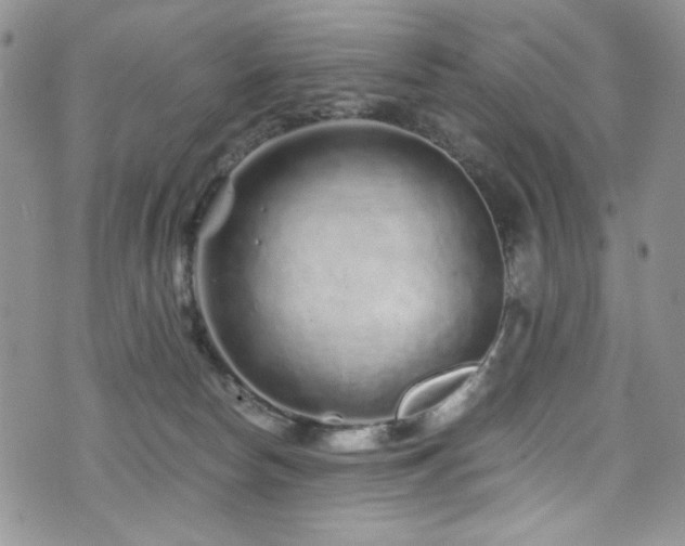 X0000076270178200609281215