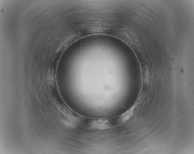 X0000076270179200609281215