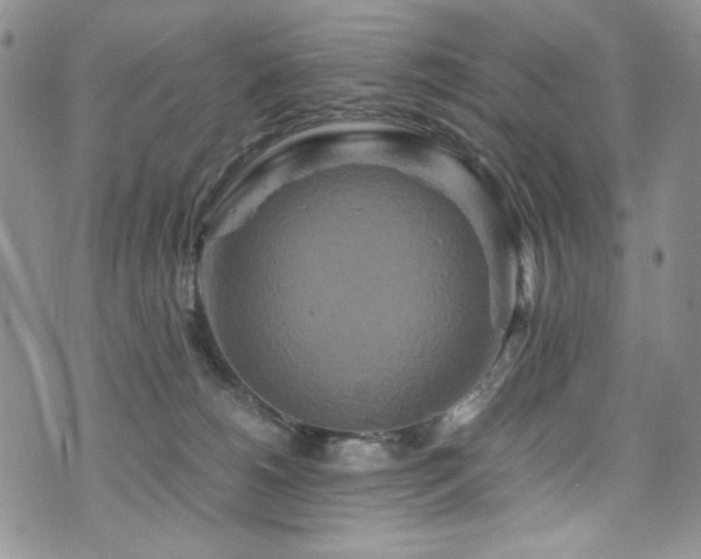 X0000076270180200609281215