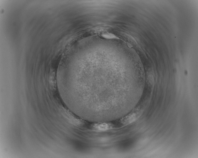 X0000076270181200609281215