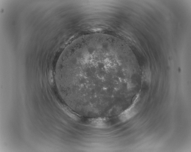 X0000076270182200609281215