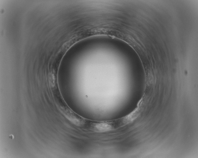 X0000076270183200609281215