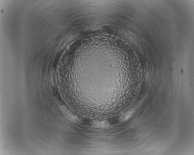 X0000076270185200609281215