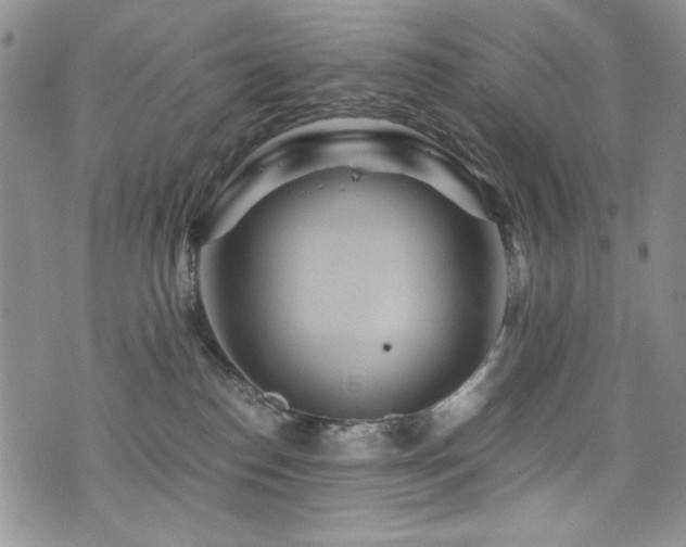 X0000076270186200609281215