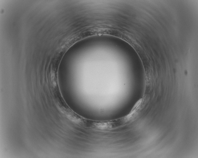 X0000076270187200609281215