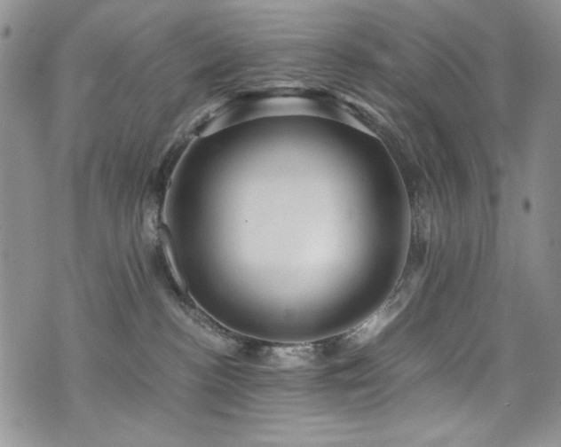 X0000076270188200609281215