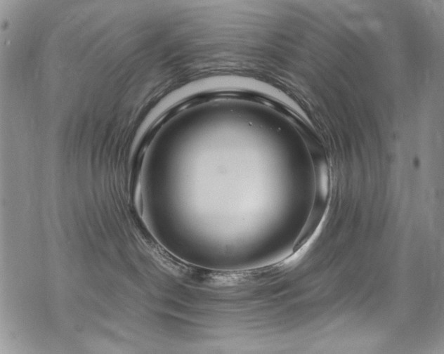 X0000076270190200609281215