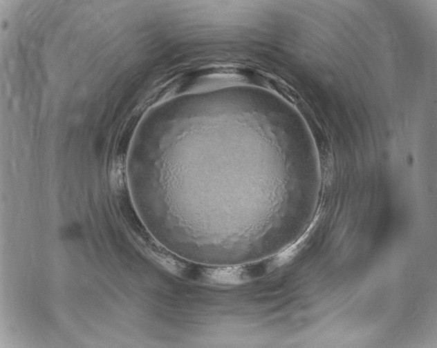 X0000076270191200609281215