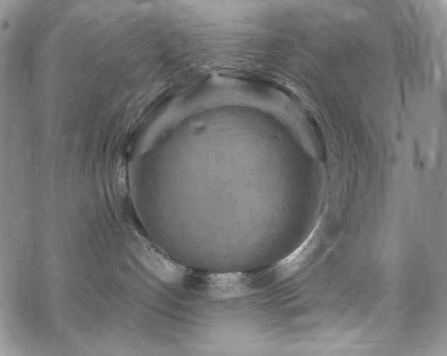 X0000076270192200609281215