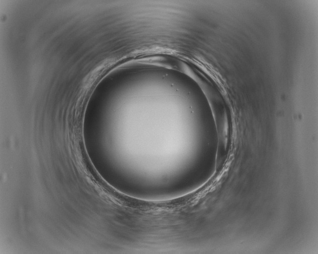 X0000076270193200609281214