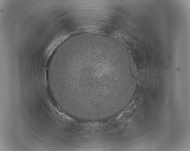 X0000076270194200609281214