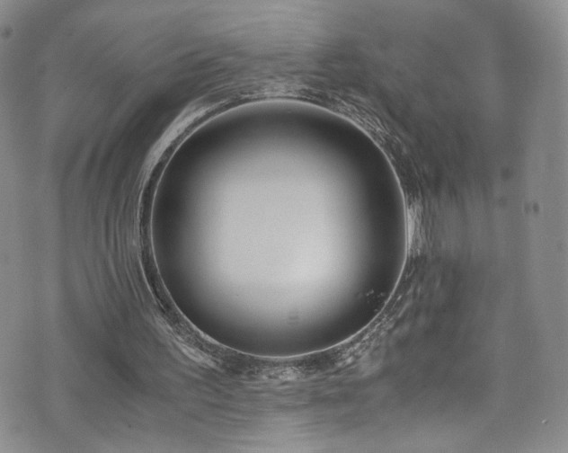 X0000076270195200609281214