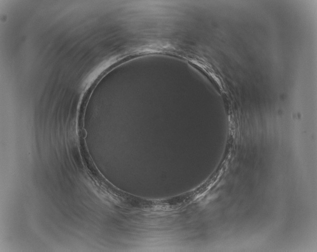 X0000076270196200609281214