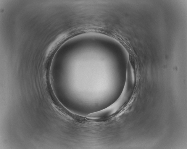 X0000076270197200609281214