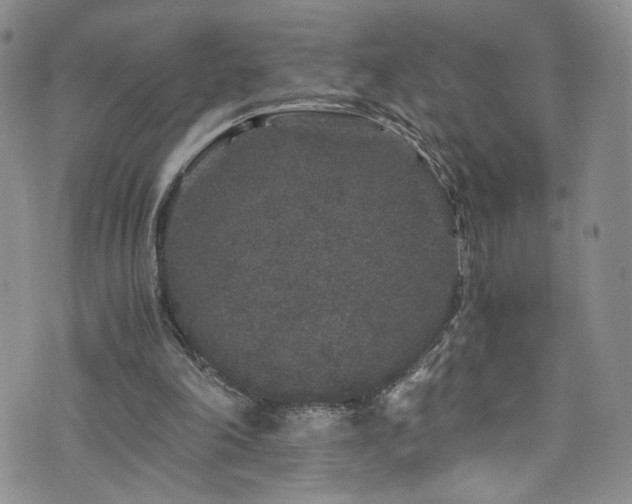 X0000076270198200609281214