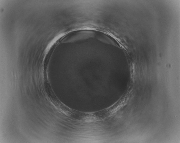 X0000076270200200609281214