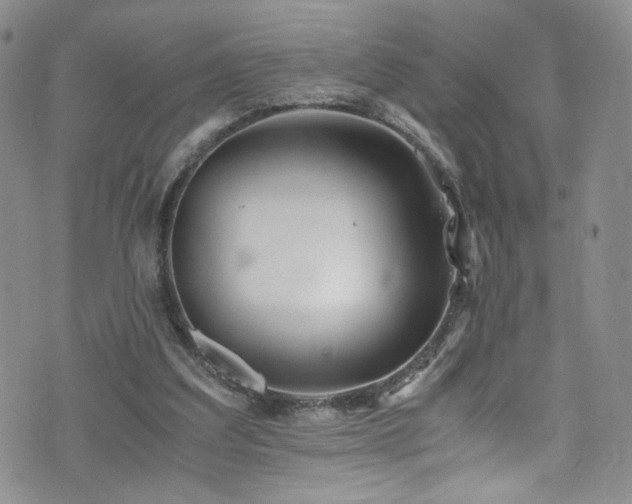 X0000076270203200609281214